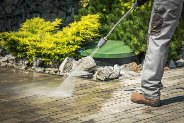 Best Winterizing Services  in Edwardsvle, IL